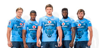 The bulls have lost to the brumbies in each of their last two encounters. Liebenberg Leads Vodacom Blue Bulls Against Dhl Western Province Afgri Agri Services