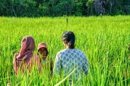 Alam semula jadi merangkumi segala jirim hidup dan jirim bukan hidup yang berada secara semula jadi di bumi. Upaya Menjaga Keseimbangan Alam Cifor Forests News