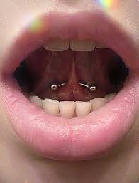 tongue frenulum piercing in 2021 earings piercings cool piercings cute piercings