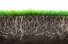 What many people don't consider is installing artificial grass yourself could offer a considerable saving, and we are going to look at how to lay artificial grass. How Do You Lay Artificial Grass On Soil This Is A Question We Get Asked A Lot