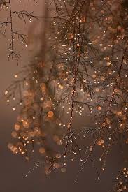  Winter Is The Time For Stories Staying Fast By The Glow Of Fire And Outside In The Darkness The Star Christmas Wallpaper Nature Photography Natural Scenery