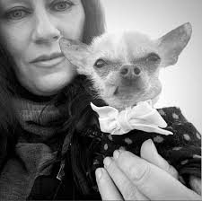 Coping with the sudden loss of a beloved pet