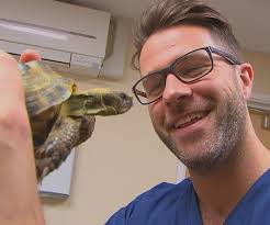 The Pets Factor Series 4