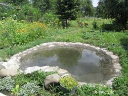 We did not find results for: Der Unterschied Zwischen Privaten Garten Und Vereinsgarten