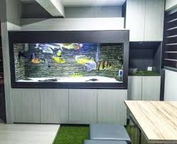 59 ubi avenue 1 (via appointment). Cabinet Tank Ss Aquarium
