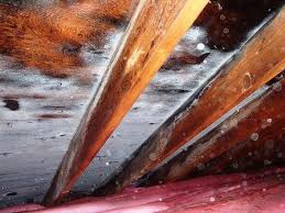 The presence of mold in your attic is often the result of poor ventilation, insufficient insulation, moisture from a roof leak, or improper venting from your bathrooms or kitchen. Frost And Mold On Your Roof Decking Typically Indicates Either A Lack Of Attic Ventilation Insulation Or Both Attic Ventilation Home Inspection Roof Deck