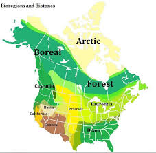 Biomes In The United States Bioregions Of North America By Decadeologee Map Northamerica Canada Ecology Usa North America Boreal Forest Biomes