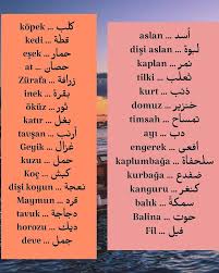 Turkce Dilim التركية لغتي On Instagram الحيوانات Hayvanlar Hayvanat Bahcesi حديقة الحيوانات Evcil Ha Learn Turkish Language Turkish Language Learn Turkish