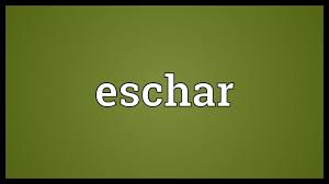 Eschar is a term one may hear during bed sore wound documentation. Eschar Meaning Youtube