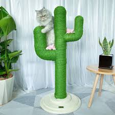 A pair of new world nautilus primates ( nautilidae octohabilis ) by john magnus champlin (2019). Cactus Cat Climbing Frame Cat Tree Climbing Frame Cat Scratching Post Grinding Claws Pet Climbing Frame Supplies Furniture Scratchers Aliexpress