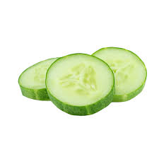 Image result for Cucumis sativus