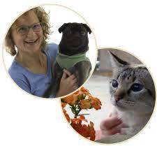 Pet center that offers a complete line of pet food…. Lisa Olson Dvm Whole Pet Veterinary Clinic Madison Wi
