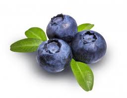 Les Bleuets Myrtilles Isole Sur Fond Blanc Image Photographie De Fruit Myrtille Bleuet