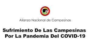 Nacional (masculine and feminine plural nacionals). Alianza Nacional De Campesinas