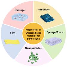 Image result for Chitosan Dressing