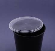 2500 ml Disposable Food Packaging Container
