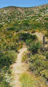 10 More Best Hikes In San Diego Pacific San Diego San Diego Restaurants Best Hikes San Diego