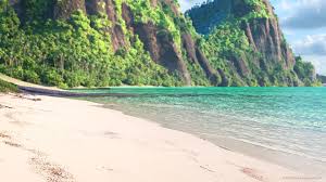 Get these caribbean zoom virtual backgrounds to virtually teleport yourself to caribbean shores or west indian luxury stays! Download Disney Princess Zoom Backgrounds For Video Chats Popsugar Tech