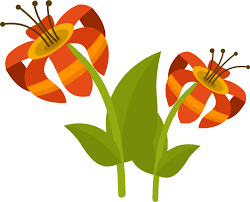 See tropical flower clipart stock video clips. Tropical Flower Clipart Free Download Transparent Png Creazilla