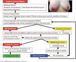 Inflammatory breast cancer is often missed, so it's important to know the signs and symptoms.according to founder of ibc research foundation ginny mason it. Inflammatory Breast Cancer What We Know And What We Need To Learn Semantic Scholar