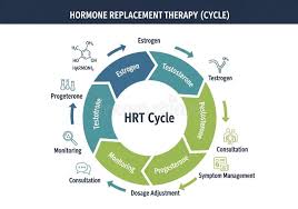 Image result for Sequential Estrogen Replacement