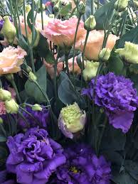 Your business in this directory? Cuts Of Color