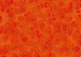 The only way to know if you like research is to try it. Masters Degree In Neuroscience All Courses Mastersavenue