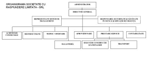 ✨terma star✨furnizor de cosuri de fum din inox! Model Organigrama Firma Constructii CÄƒutare Google Homemade Ice Cream Recipes Homemade Ice Diagram