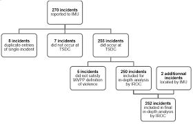 Institutional Violence In Ontario Final Report Ministry Of