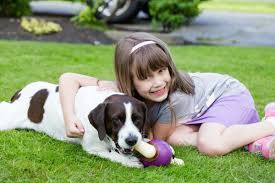 Maybe you would like to learn more about one of these? Adopting A Dog Will Bless Your Family If You Answer These Questions First