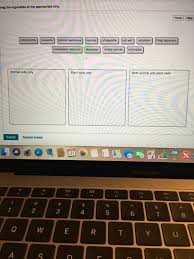 The rough er is rough only because it harbors. Rag The Organelles To The Appropriate Bins Reset Chegg Com