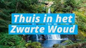 Het zwarte woud is een middelgebergte in het zuidwesten van duitsland waar actieve vakantiegangers zich helemaal kunnen uitleven. Duitsland Zwarte Woud Youtube