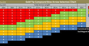Details About Gold Tip Arrows Ted Nugent 300 400 500 1 Dozen