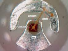 Special soldering devices like electric tweezers are very helpful in attaching tiny surface it will still require a series resistor, so you would need to find a data sheet on the smd diode you wish to use. Light Emitting Diode Wikipedia