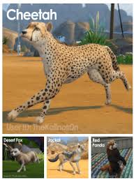 Best sims 4 cats & dogs mods (2021) alright, i needed to add this in here. Spring4sims Sims 4 Pets Sims Pets Animals Wild
