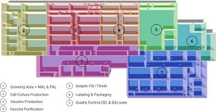 Although major categories of ageing damage have. Vaccine Manufacturing Facilities And Cleanrooms Explained