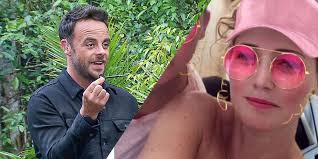 Declan donnelly baby ant & dec ants pj board ant planks. Fans Convinced Ant Mcpartlin S New Girlfriend Is Pregnant