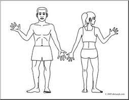 Download and print these human body for kids coloring pages for free. Clip Art Human Body Coloring Page I Abcteach Com Abcteach