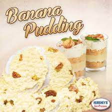 If each person eats 1 cup, the gallon will serve 16 people because there are 16 cups in a gallon. Pin By Hershey S Ice Cream On Hic Fun Banana Pudding Pudding Ice Cream Banana Pudding Ice Cream