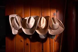 We did not find results for: 6 Different Types Of Cowboy Hats Threadcurve