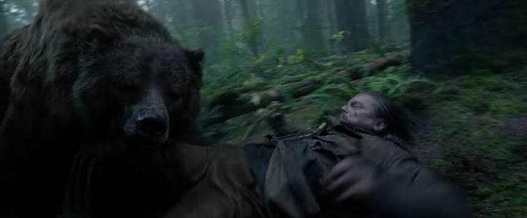 The Bear from “The Revenant” Opens Up About Filming Conditions | The New  Yorker