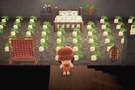 We did not find results for: Things To Do On Animal Crossing When Bored Hypebae