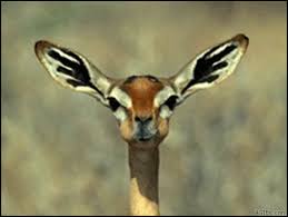 Fail Spelfout In Tattoo Clasie Poker Forum Poker Discussie Platform Pokernews