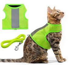 Best Cat Harnesses In 2019 Reviews By Alphatoplist Com Best Cat Harness Cat Harness Cats