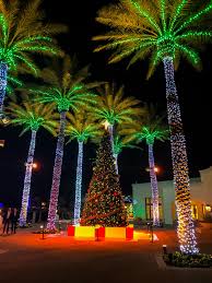 Pin By Tom Herron On Christmas Lights Fairmont Scottsdale Princess Scottsdale Princess Christmas Lights