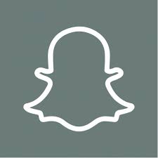 Color style free and premium animated icons for your projects. Snapchat Ios 14 Icon Snapchat Icon Iphone Icon Snapchat Ios