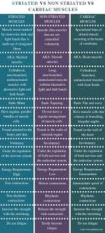 What Is The Difference Between Striated Non Striated And Cardiac Muscles Pediaa Com Basic Anatomy And Physiology Biology Facts Human Anatomy And Physiology
