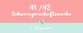 Die 41 42 Schwangerschaftswoche Infos Und Tipps