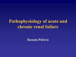 Age, gender and family history of premature coronary heart disease. Pathophysiology Of Acute And Chronic Renal Failure Ppt Video Online Download