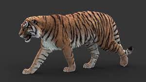 New Tiger 3d Model Walk Youtube 3d animation is not a realm that the average joe can pick up and run with.